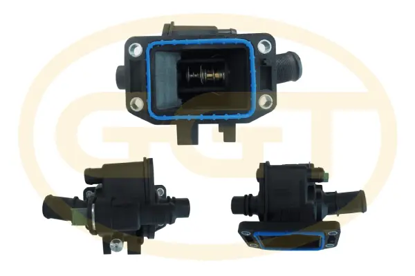 Thermostat, coolant (TMPA010)
