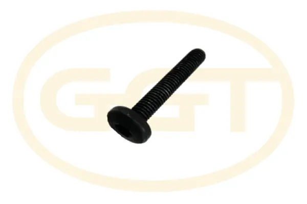 Screw (PEKD029)