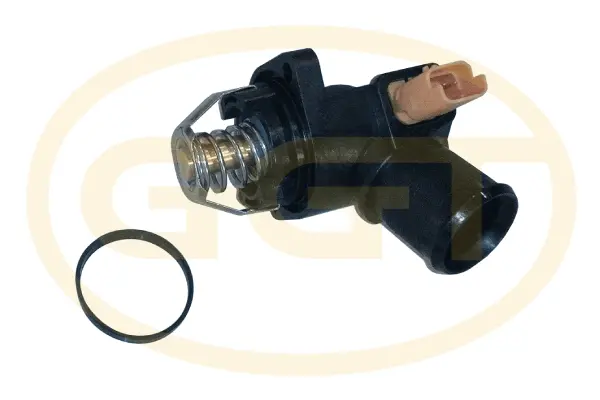 Thermostat, coolant (TMPA016)