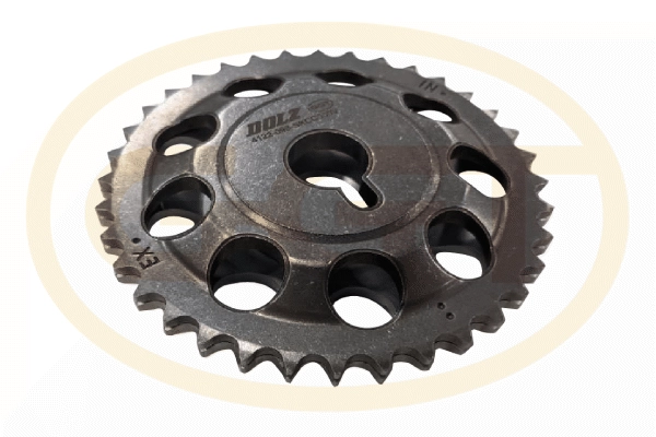 Chain Sprocket (PCKD102)