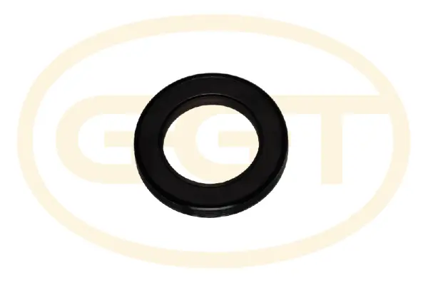Shaft Seal, crankshaft (SEKD024)