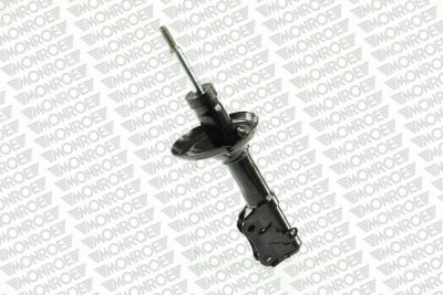 Shock Absorber (11163)