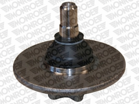 Ball Joint (L10A04)