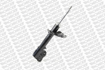 Shock Absorber (72438ST)