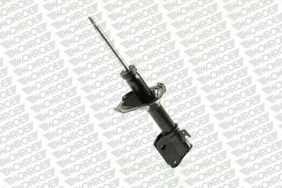 Shock Absorber (16492)