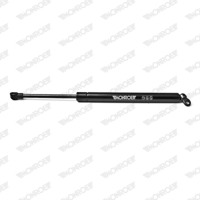 Gas Spring, boot/cargo area