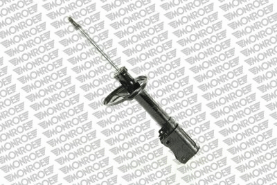 Shock Absorber (G16662)