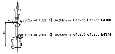 Shock Absorber (G16255)