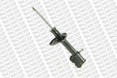 Shock Absorber (E4975)