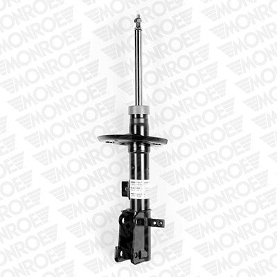 Shock Absorber (72509ST)