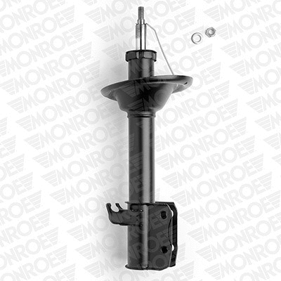 Shock Absorber (71612ST)