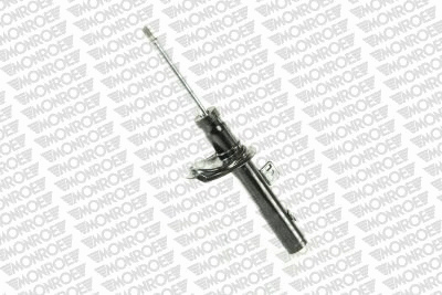 Shock Absorber (11619)