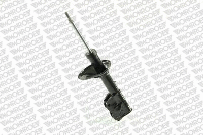 Shock Absorber (G16286)