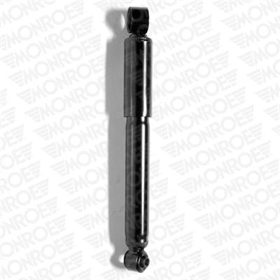 Shock Absorber (23893)