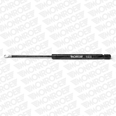 Gas Spring, boot/cargo area