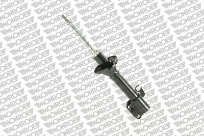 Shock Absorber (R11061)