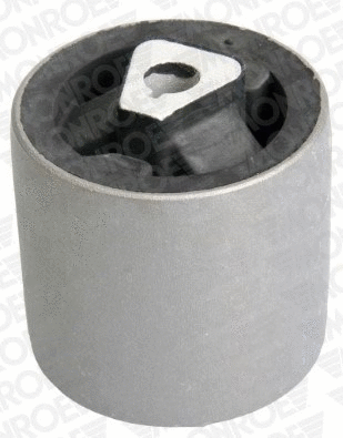 Mounting, control/trailing arm (L11845)