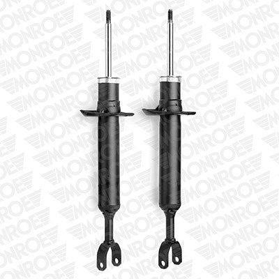 Shock Absorber (E2044)