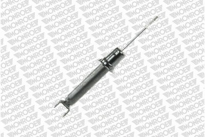 Shock Absorber (72495ST)