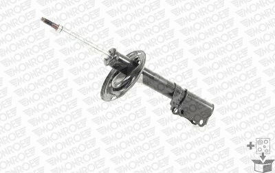 Shock Absorber (72384ST)