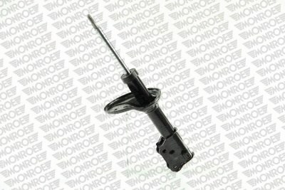 Shock Absorber (16244)