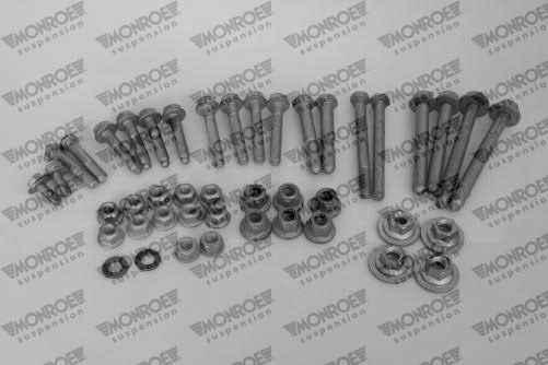 Mounting and Bolting Kit, control/trailing arm (L29875)