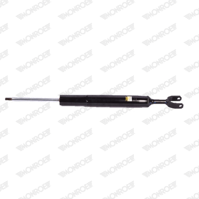 Shock Absorber (C21771)