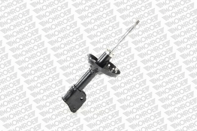 Shock Absorber (72439ST)