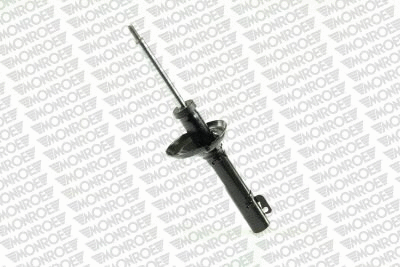 Shock Absorber (16731)