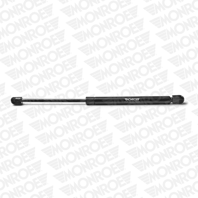 Gas Spring, boot/cargo area