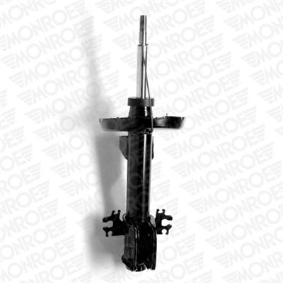 Shock Absorber (16656)