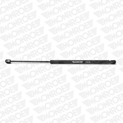 Gas Spring, boot/cargo area