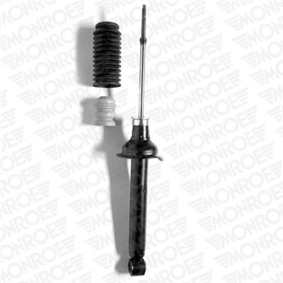 Shock Absorber (23734)