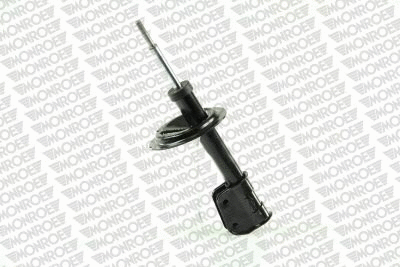 Shock Absorber (10024)