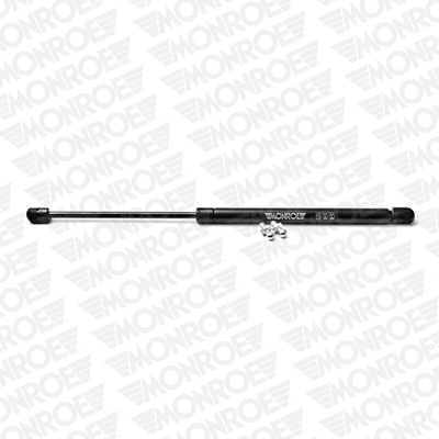 Gas Spring, boot/cargo area