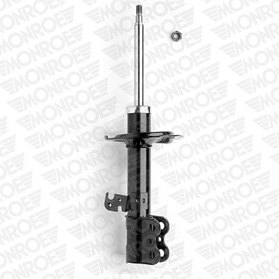 Shock Absorber (72112ST)