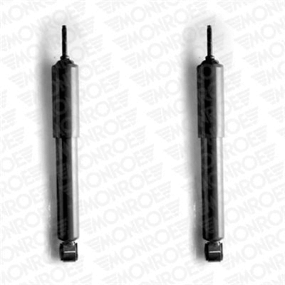Shock Absorber (D2113)