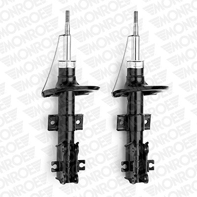 Shock Absorber (E4618)