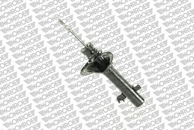 Shock Absorber (11621)