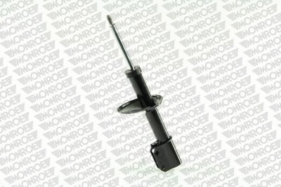Shock Absorber (11257)