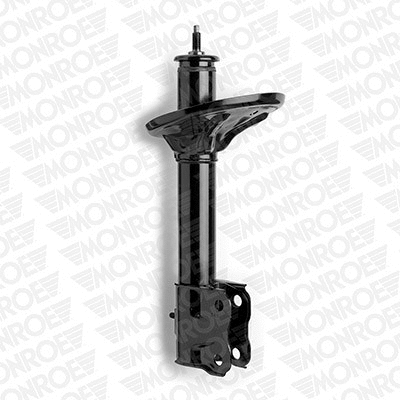 Shock Absorber (72418ST)