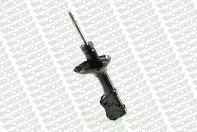 Shock Absorber (11541)