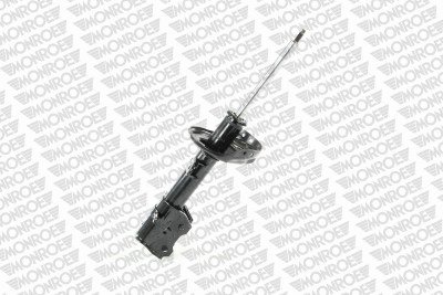 Shock Absorber (72491ST)