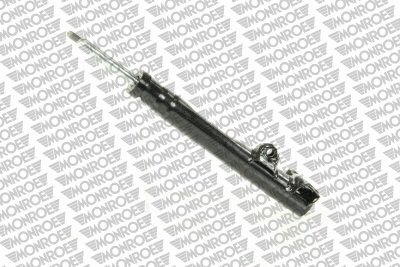 Shock Absorber (16687)