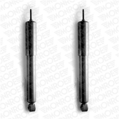 Shock Absorber (D5494)