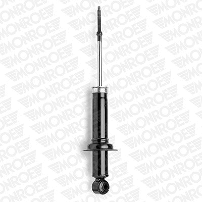 Shock Absorber (71379ST)