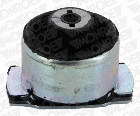 Bushing, axle beam (L25821)