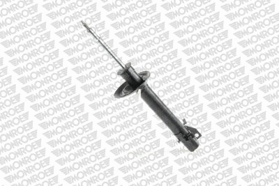 Shock Absorber (V4513)