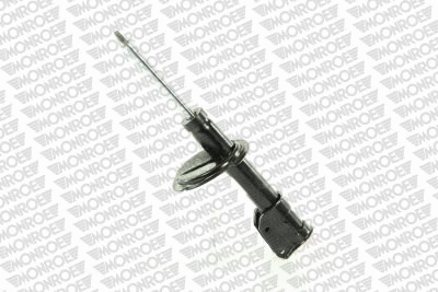 Shock Absorber (16547)