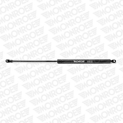 Gas Spring, boot/cargo area